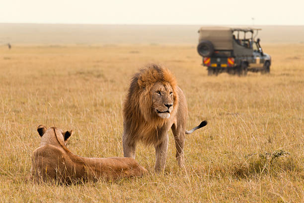 3-Day Maasai Mara Express Safari